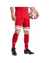 JE7745 Adidas Squadra 25 Football Shorts (1).webp