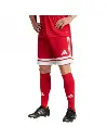JE7745 Adidas Squadra 25 Football Shorts (2).webp