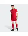 JE7745 Adidas Squadra 25 Football Shorts (5).webp