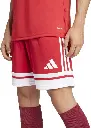 JE2601 Adidas Squadra 25 Jersey (4).webp
