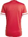 JE2601 Adidas Squadra 25 Jersey (3).webp