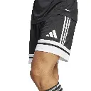 JH3402 Adidas Squadra 25 Shorts (7).webp