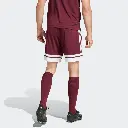 JC8677 Adidas Squadra 25 Training Shorts (3).webp