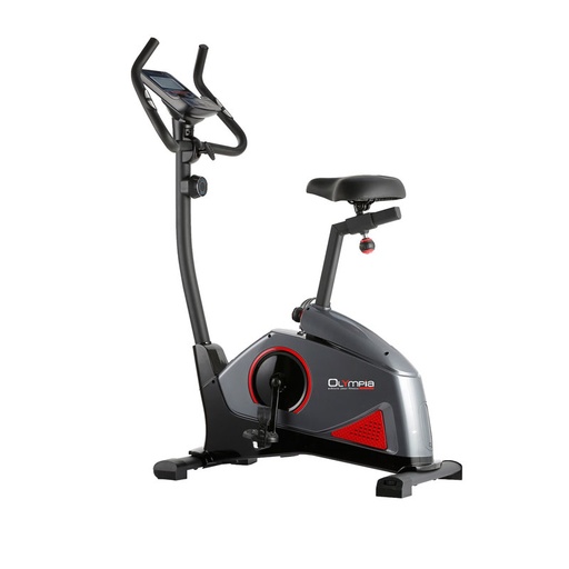 Magnetic Upright Bike
