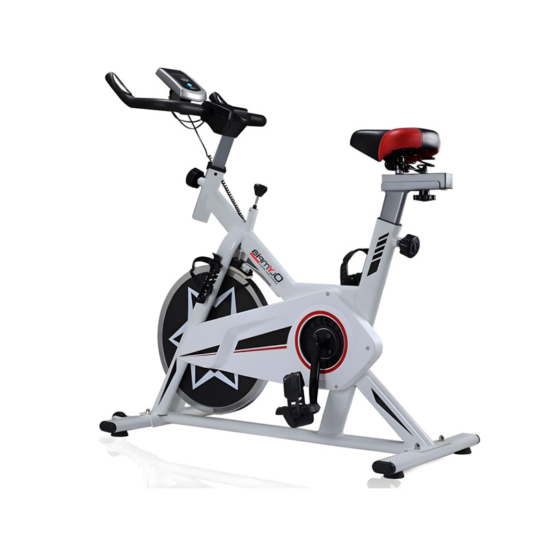 Racing Spin Bike