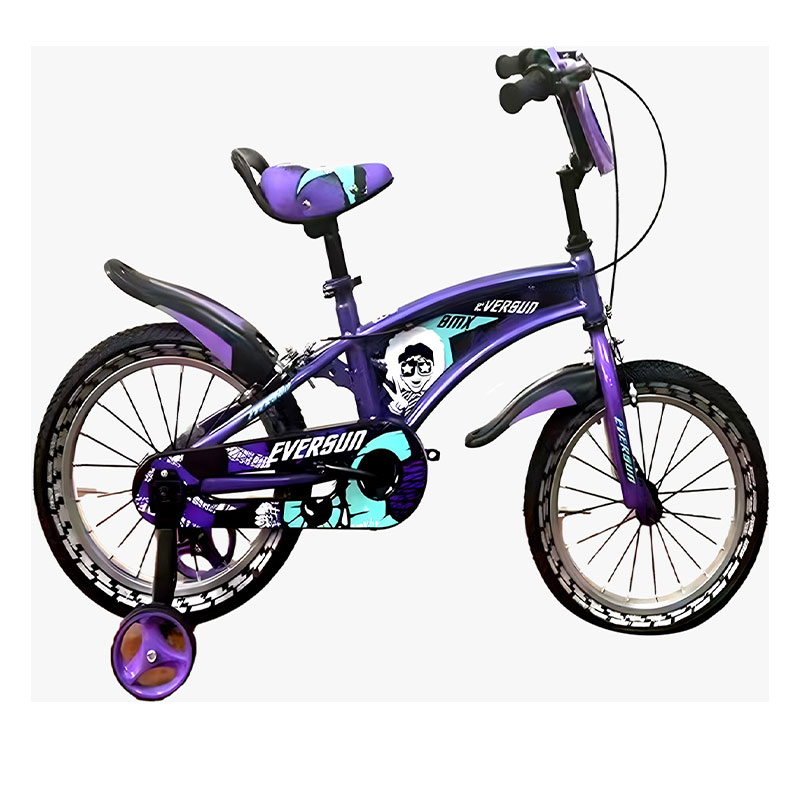 Kids Bike w/ Training Wheel(20 in)