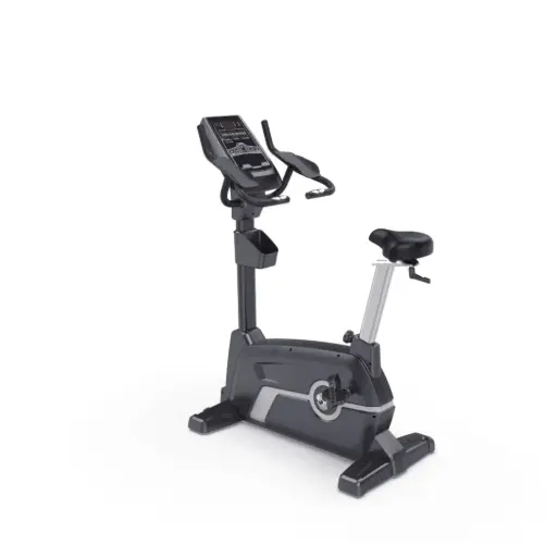 Olympia Upright Bike