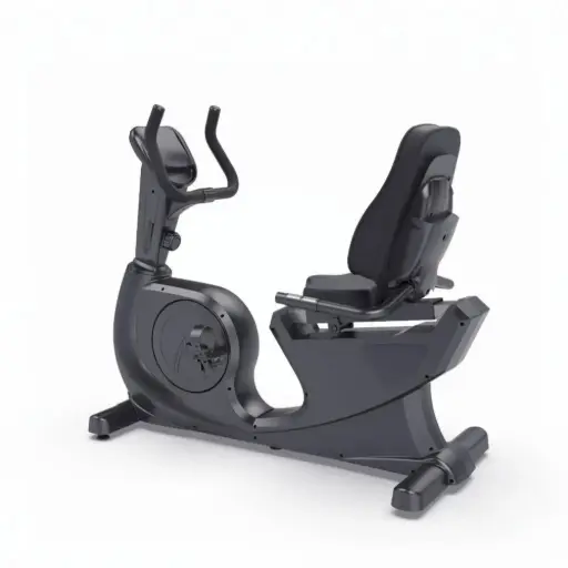 Olympia Recumbent Bike